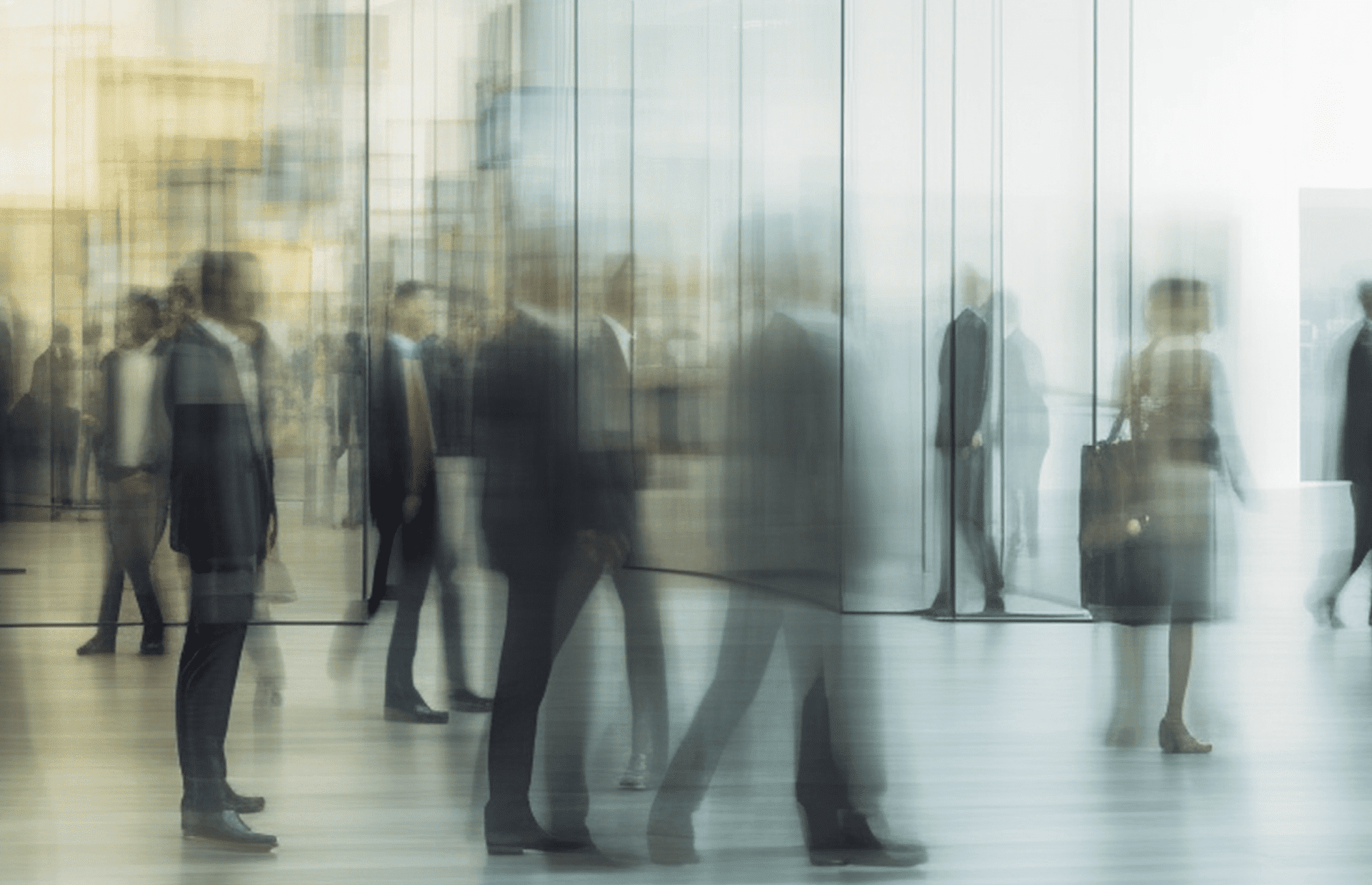 Совет директоров