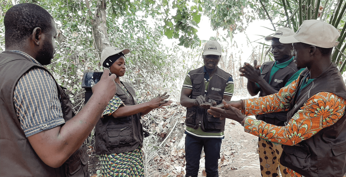 Продовольственная и сельскохозяйственная организация Объединенных Наций (ФАО)