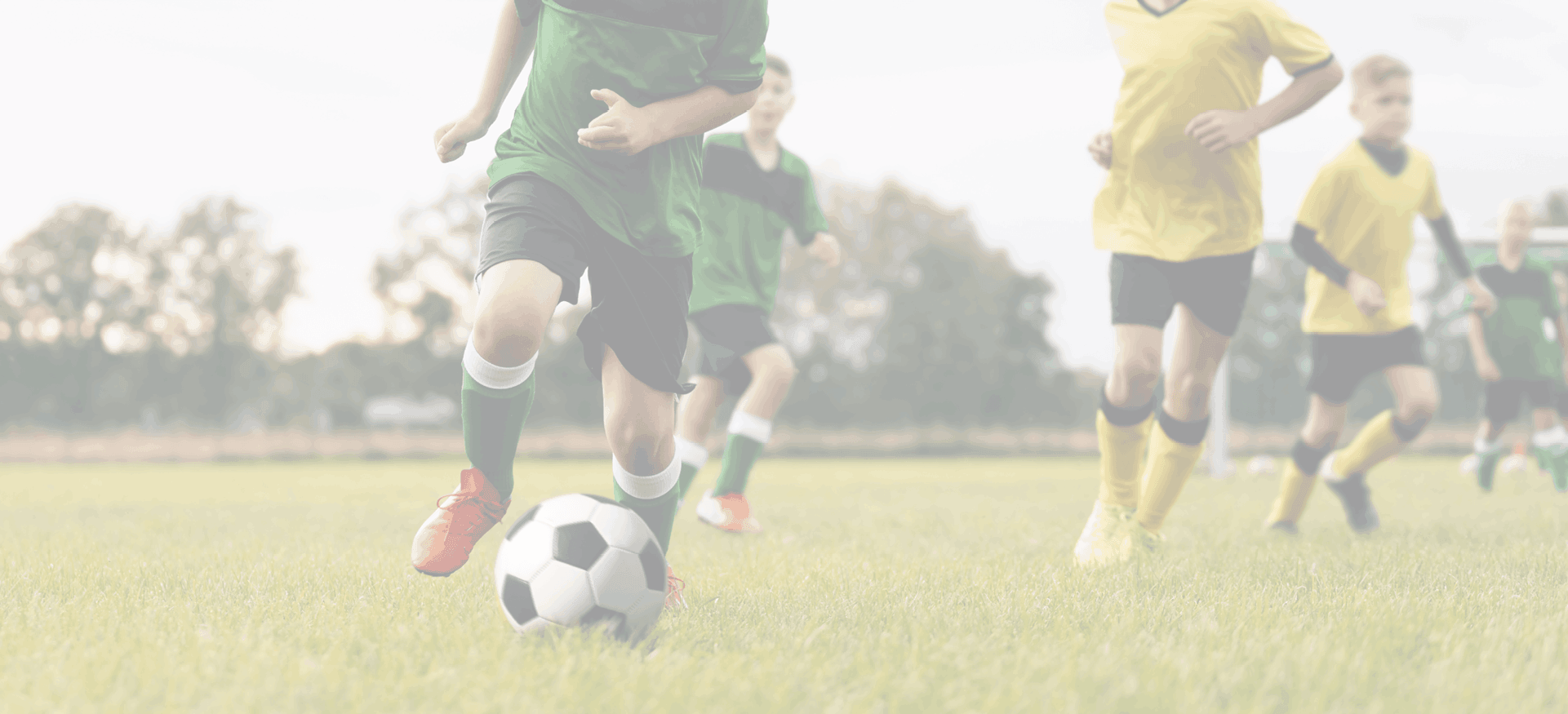 Развитие регионов присутствия