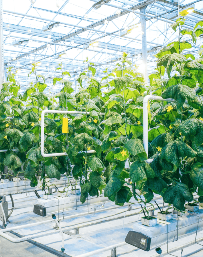 Производство удобрений